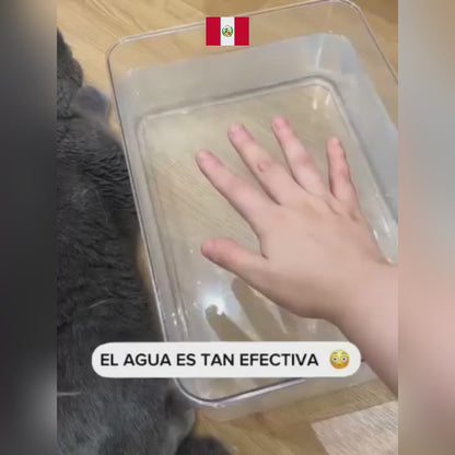 Peine Vaporizador de Mascotas
